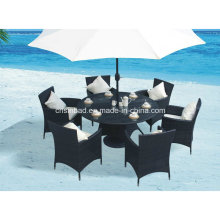 Wicker Dining Table for Outdoor, Indoor with 6 Chairs / SGS (8214)